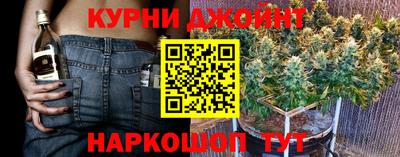 гидра Будённовск