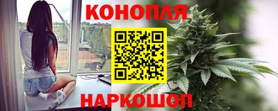 гидра Будённовск