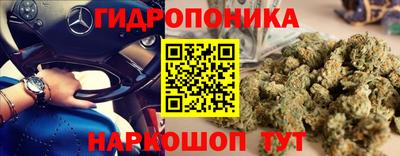 гидра Будённовск