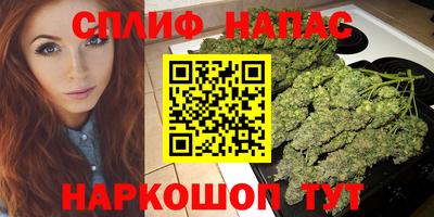 гидра Будённовск