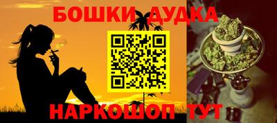 гидра Будённовск