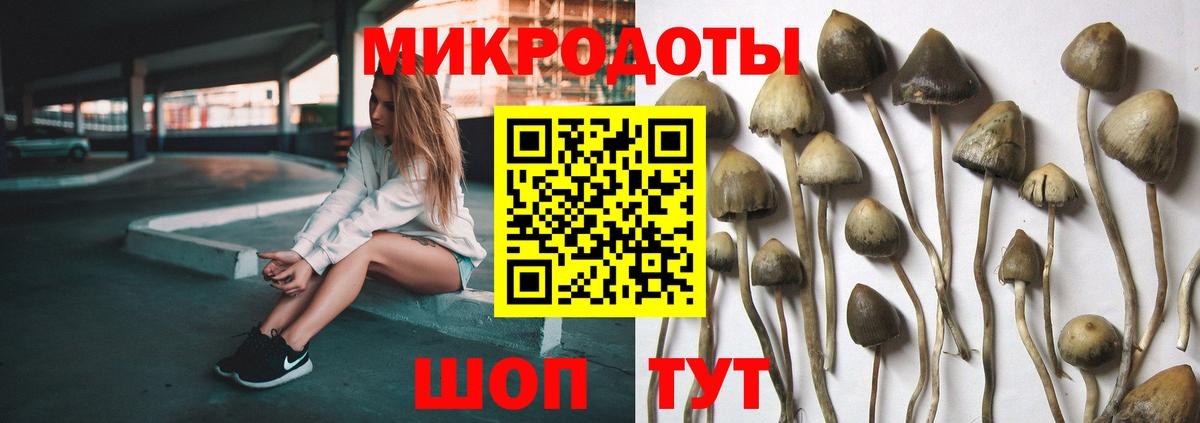 Псилоцибиновые грибы прущие грибы Уварово